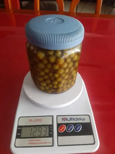 Jurubeba em conserva 