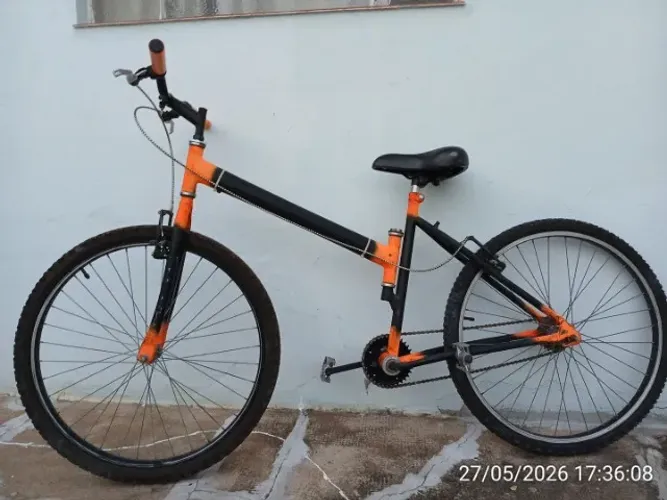 Bicileta Maria Mole - Wooble Bike
