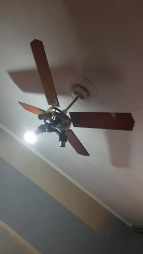 Ventilador de teto