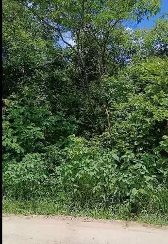 Terreno em área verde
