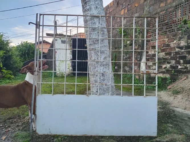 Vende-se portão