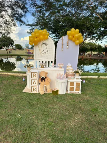 Locação de kit chá revelação festa