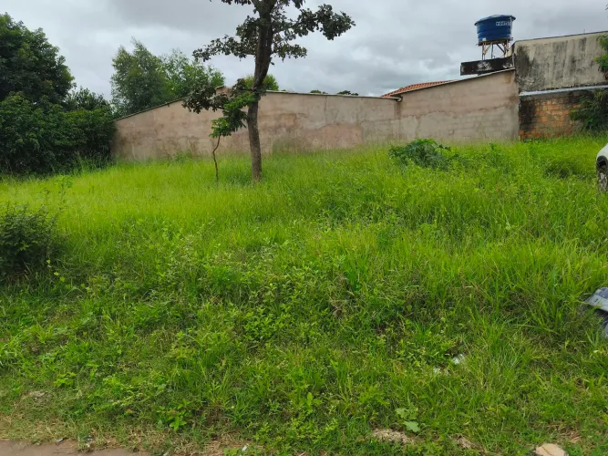 Lote setor de mansões