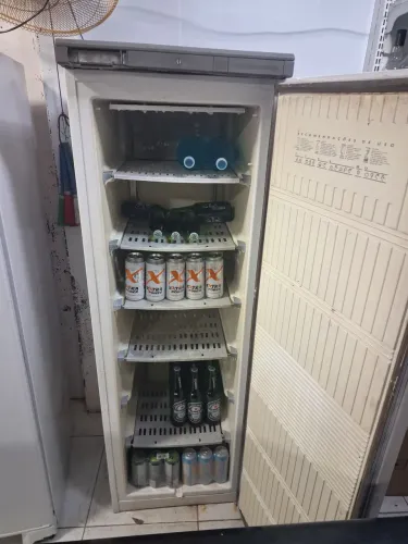 Freezer vertical frosfree