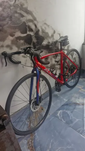 Bicicleta Speed