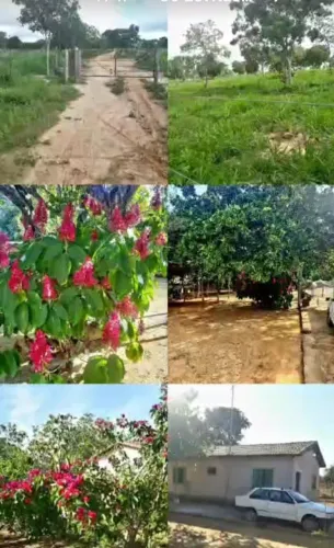 FAZENDA  A VENDA 42 HECTARES -  VÁRZEA DA PALMA 