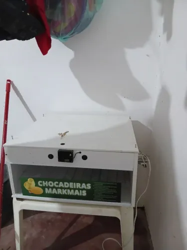 Chocadeira