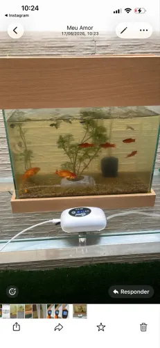Aquário de peixes