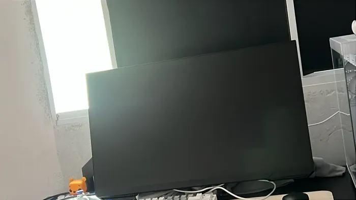 MONITOR