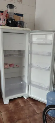 Geladeira Electrolux Frost Free RFE39