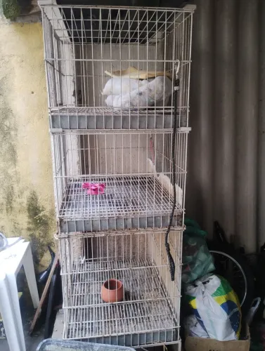 Gaiola para pet shop