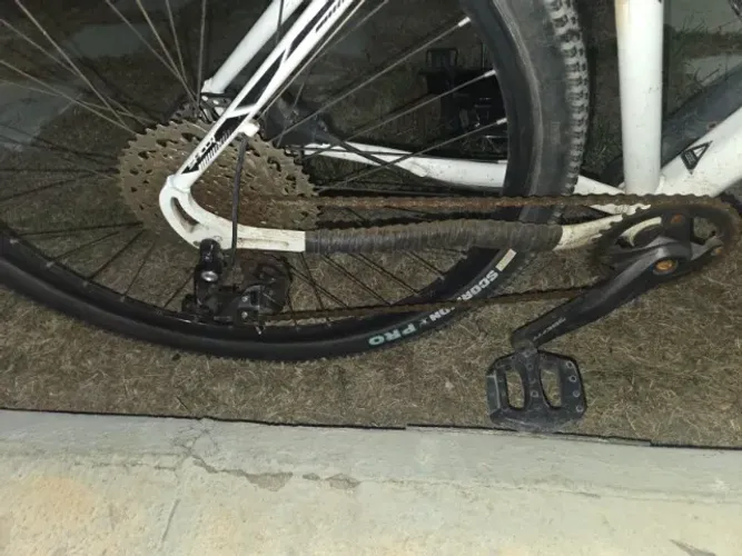 Bicicleta