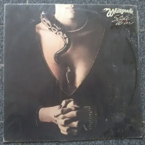 Disco de vinil
