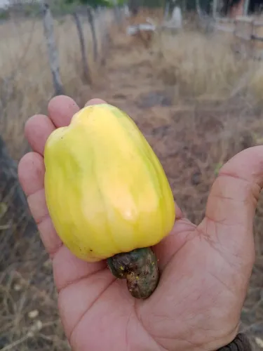 Chácara pronta e bem situada em condomínio fechado.