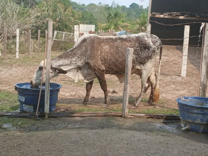 Venda ou troca
