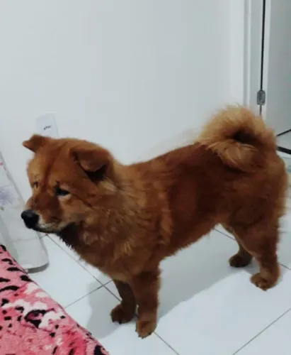 Doação