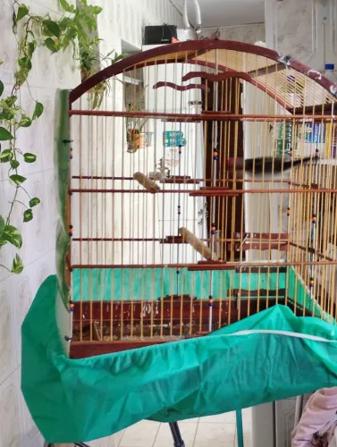 Gaiola