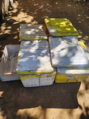 Caixas de isopor