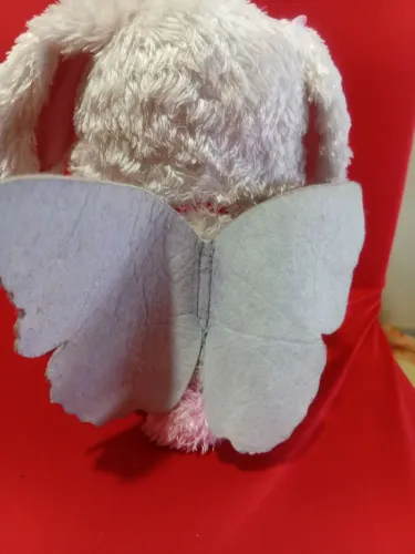 Gatinha Miette
