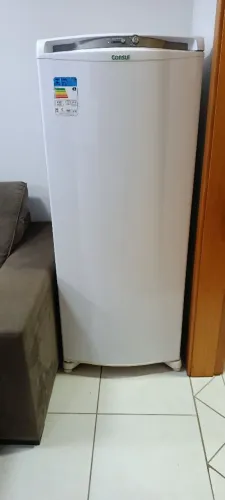 Freezer vertical