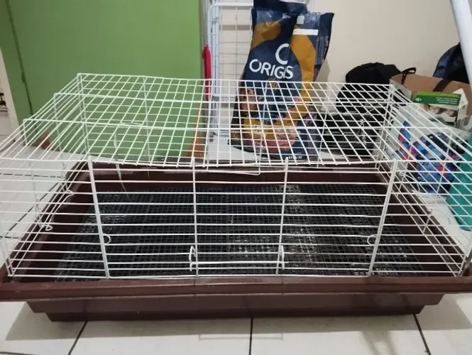 Coelheira 105x50 cm usada( possui manchas de uso) acompanha dois bebedores para roedores.