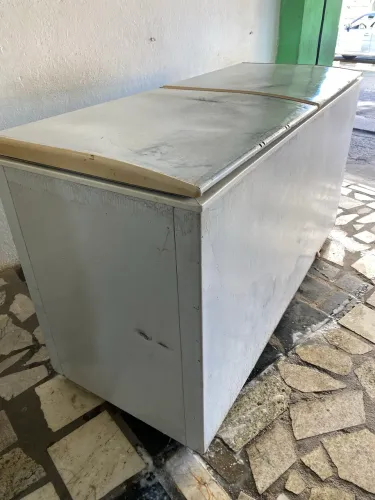 Freezer horizontal
