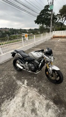 hornet