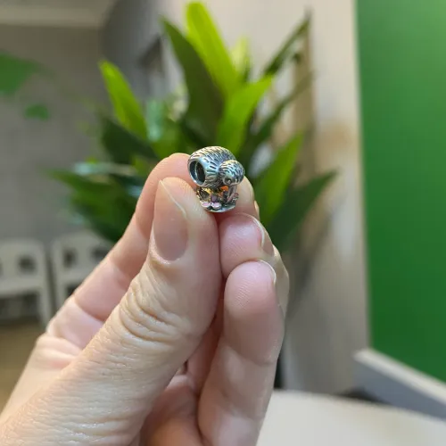 Charm Pandora - Kiwi - Pássaro/Nova zelândia
