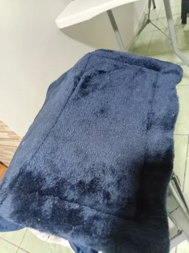 Casinha para pet