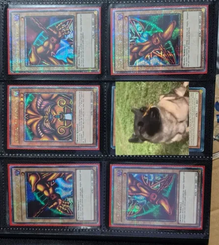 Coleção Completo - 5 partes do Exodia na raridade Quarter century
