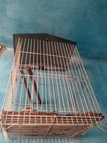Vende-se outra gaiola para pasaro