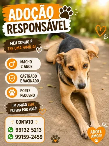 Adoção responsável