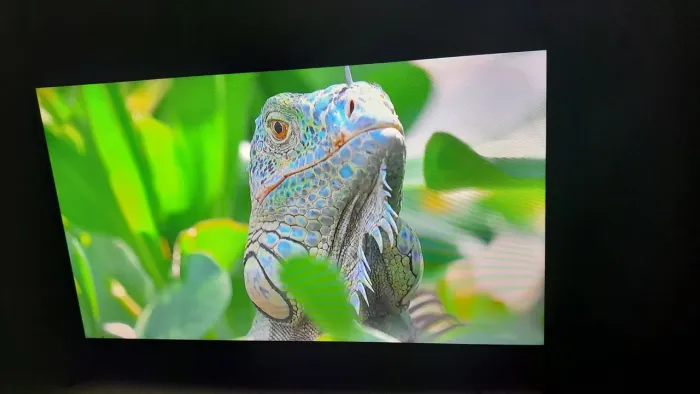 Oportunidade Tv 43 uhd Borda infinita 1289$