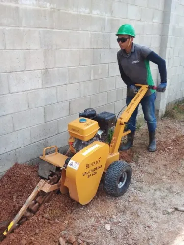 Valetadeira a gasolina
