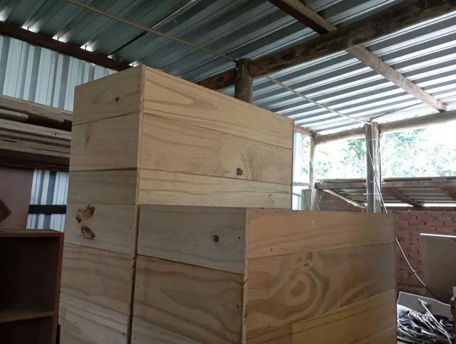 Caixas para abelhas 