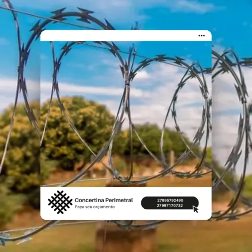 Concertina perimetral