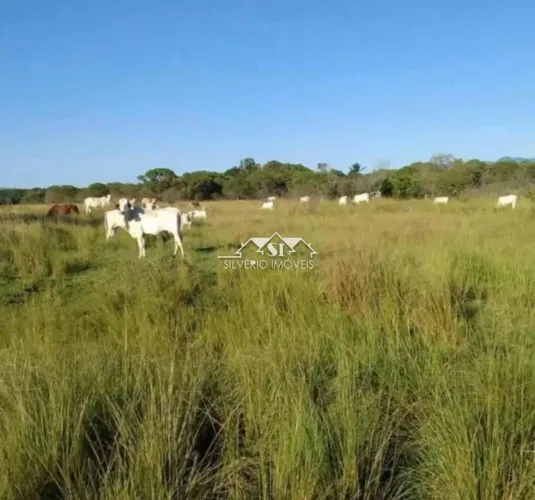 Terreno- Seropédica , Piranema