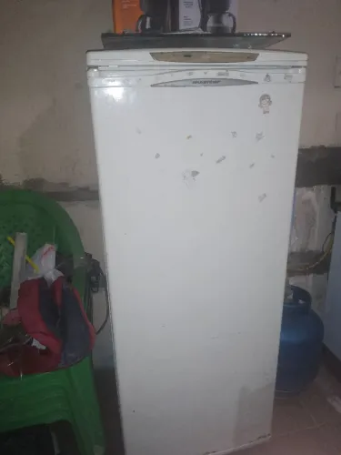 Freezer vertical