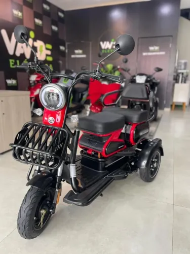 Tríciculo modelo ZIG 03 lugares elétrico