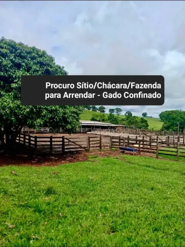 Procuro Sítio/Chácara/Fazenda para Arrendar - Gado Confinado