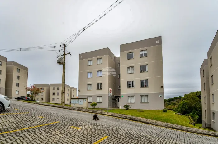 Vendas Apartamento Curitiba PR