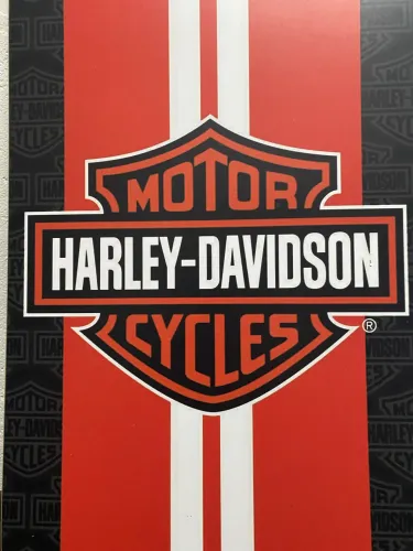 PLACAS DECORATIVAS 