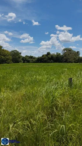 Fazenda à Venda em Porangatu GO | 48,3 Alqueires