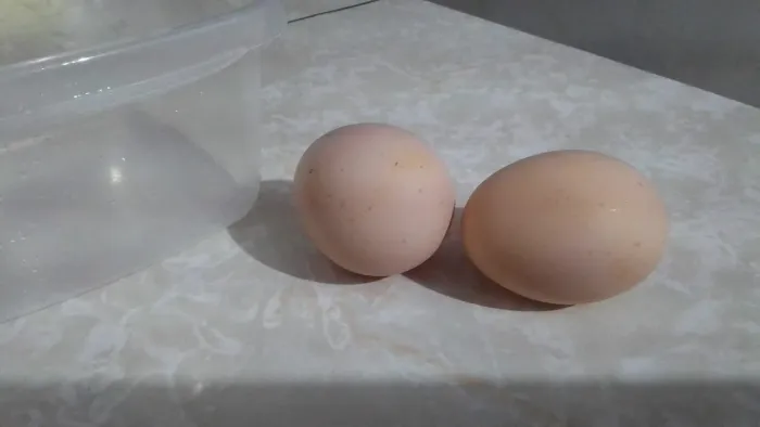 Ovos de Brahma