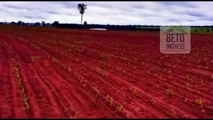 Fazenda/Sítio/Chácara para venda possui metros quadrados