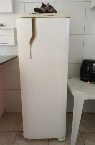 Geladeira precisa colocar gás 