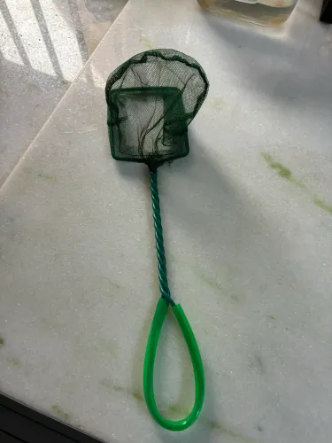 Peneira para peixe 