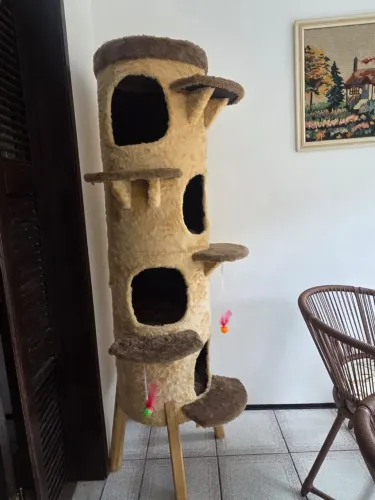 Arranhador de gatos