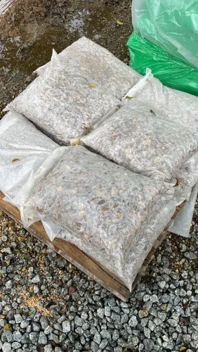 PEDRA SEIXO DE RIO ROLADO EM PACOTE 20kg