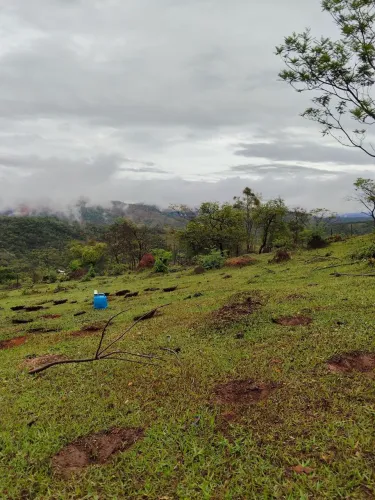 Terreno de 1000 metros em moeda a venda 